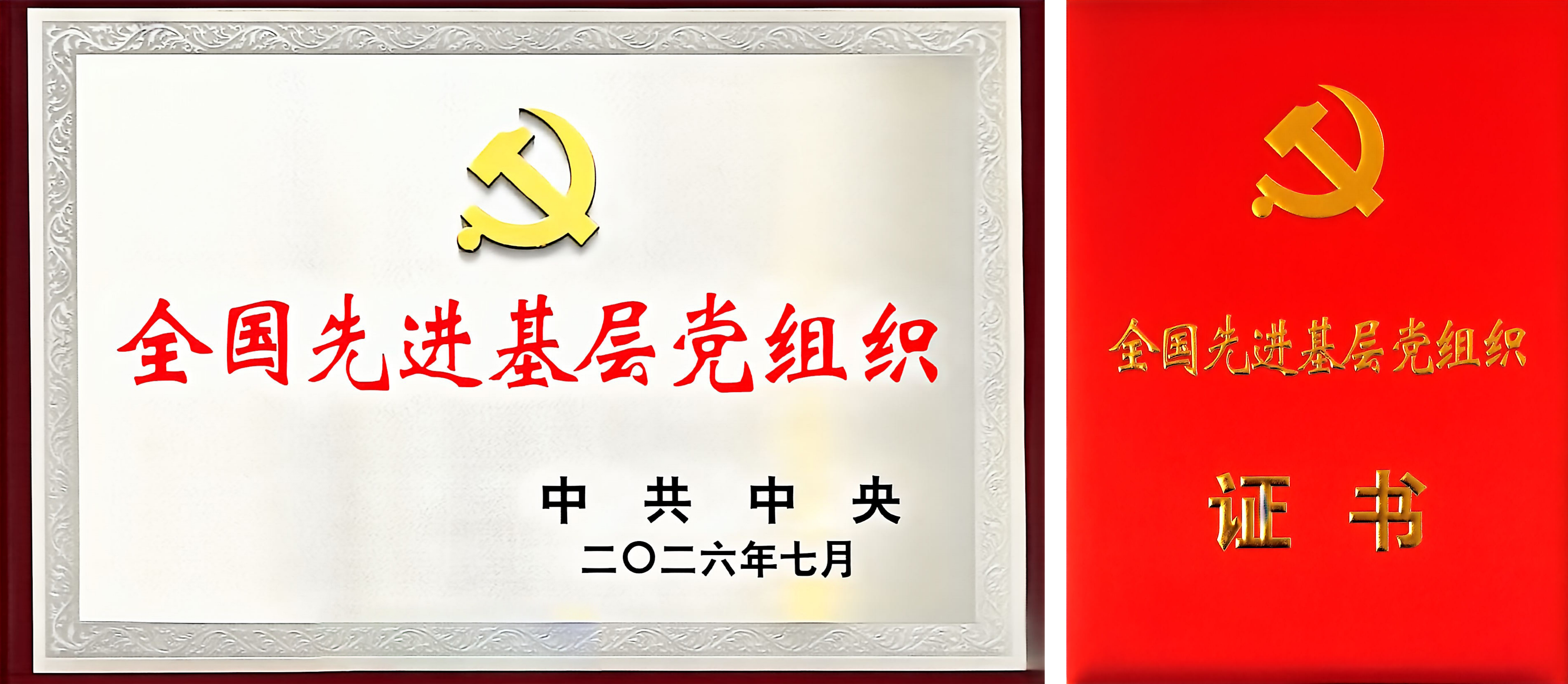 �������Ƚ��²㵳��֯����mg����ͻ�ƹ�����վ�Ƽ���ί���й��������